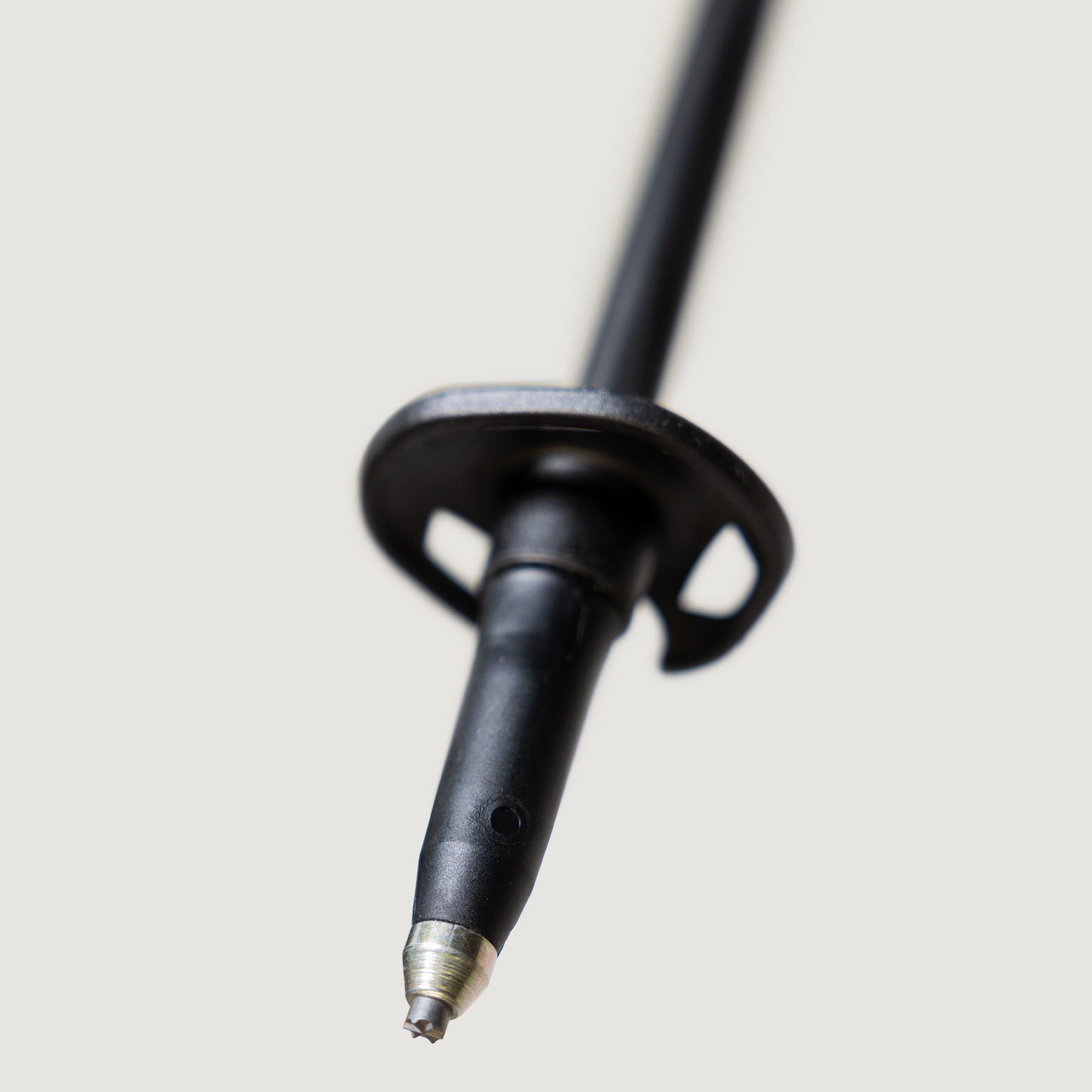 Carbon-Skistock (Nussbaum)