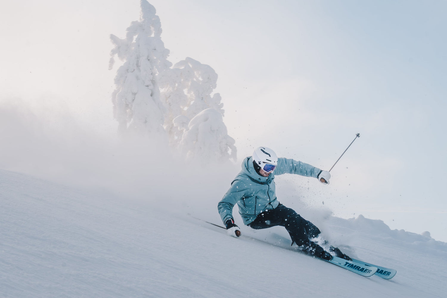 Timbaer in Schweden – zurück in Åre und Sälen
